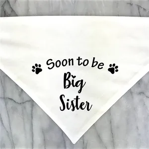Big Brother und Big Sister Dog Bandana, Schwangerschaftsanzeige, Genre enthüllen Foto -Prop, Haustier -Cachecol -Zubehör 8 Hauptverkaufskleid -Offenbarung Tee - №4