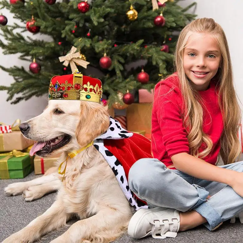 Ropa divertida para mascotas, Cosplay, capa de rey, conjunto de sombrero, disfraz de Príncipe de Navidad y Halloween, capa de moda para fiesta de mascotas, vestido decorativo elegante