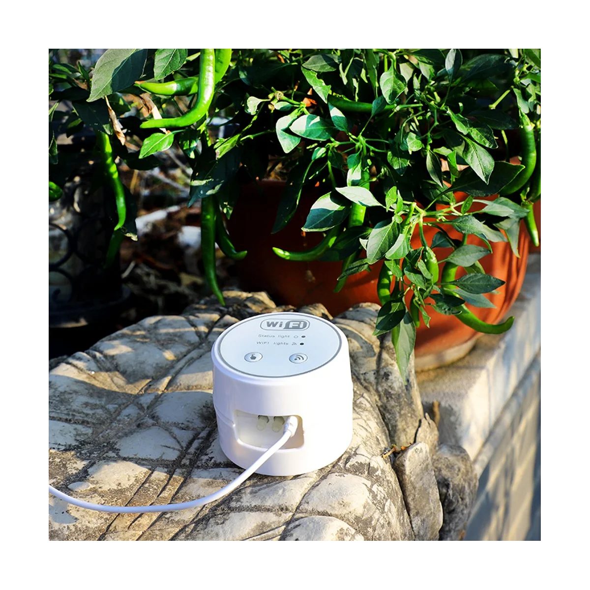 Contrôleur d'irrigation goutte à goutte automatique Wifi, pompe à eau intelligente, minuterie, dispositif de système d'arrosage intérieur, plante de jardin