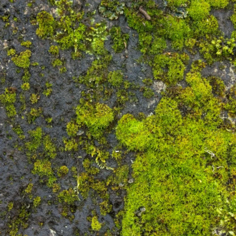 

Front and rear axle drive shafts for 1/12 MN82T LC79 MN82S MN82Pro MN82