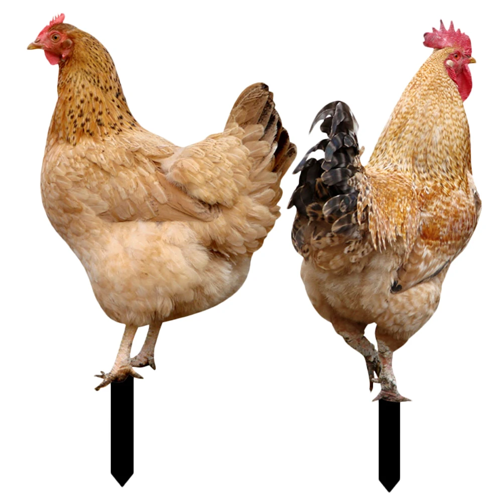 

2pcs Simulated Hen Decoration Durable Acrylic Garden Stakes Realistic Chicken Yard Lawn Decorations Outdoor Patio