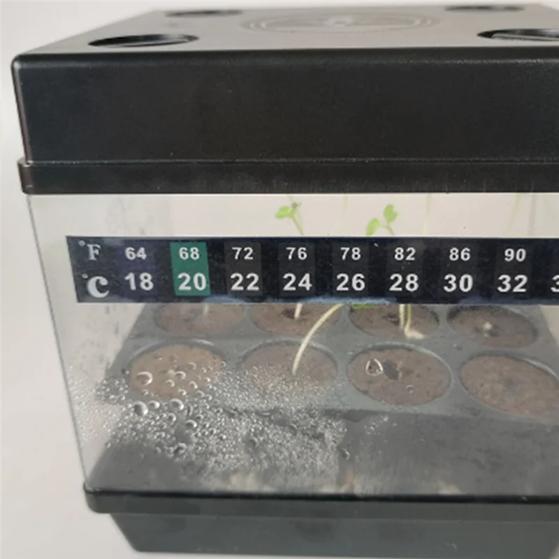 GYTB-Luce per la crescita delle piante, vassoi per piantine a LED, serre, kit di germinazione