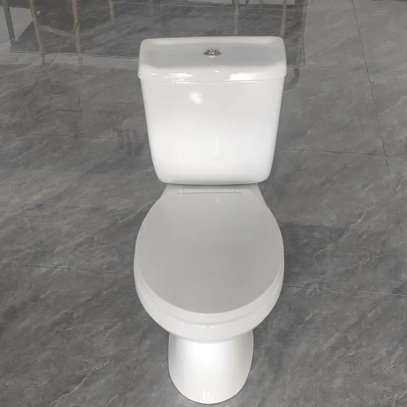 Split Siphon Toilet with Water Tank and Seat Two Piece Design Water Saving Bathroom Fixture