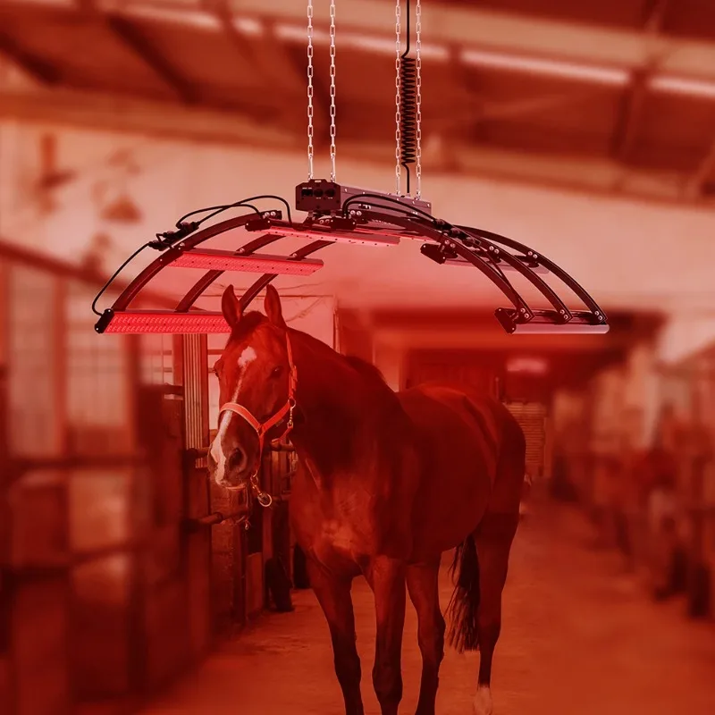 Stable Horse Full Body Therapy Solarium Pony Light Therapy Red Infrared Horse Light Horse Solarium