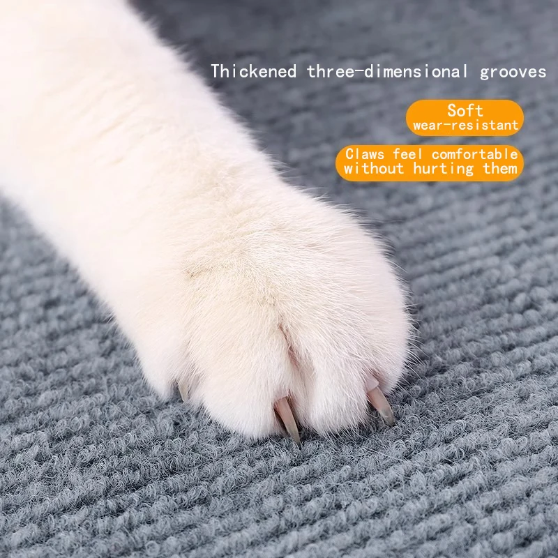 المطابخ غرفة نوم البساط امتصاص الماء ديكور المنزل ذاتية اللصق غرفة الديكور الحمام السجاد بلون السجاد غرفة المعيشة