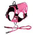 Pink Harness Leash