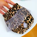 Leopardo