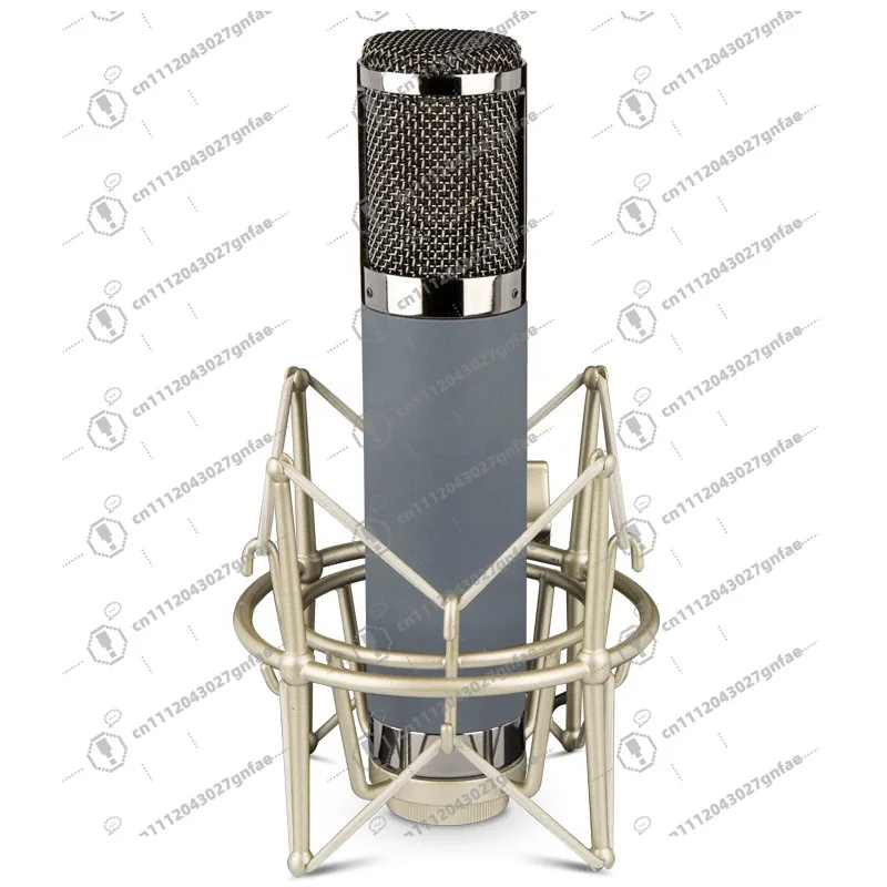 Professional large diaphragm XLR recording capacitor studio microphone heart-shaped polar metal plastic for live vocal