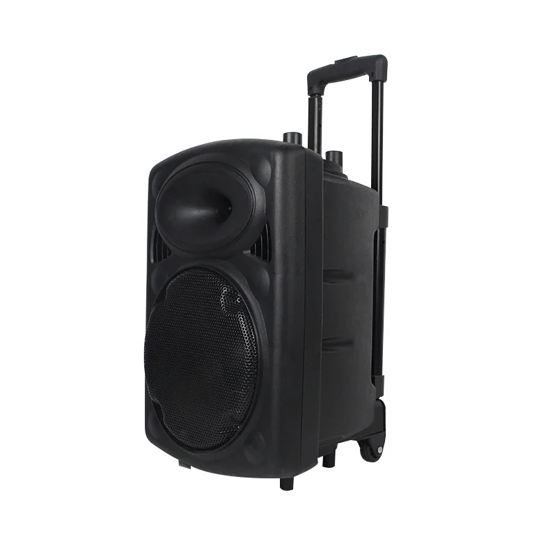 

10 Inch Multi Media Wireless Trolly Speaker Dj Portable Trolley Speaker System With Replaceable Battery
