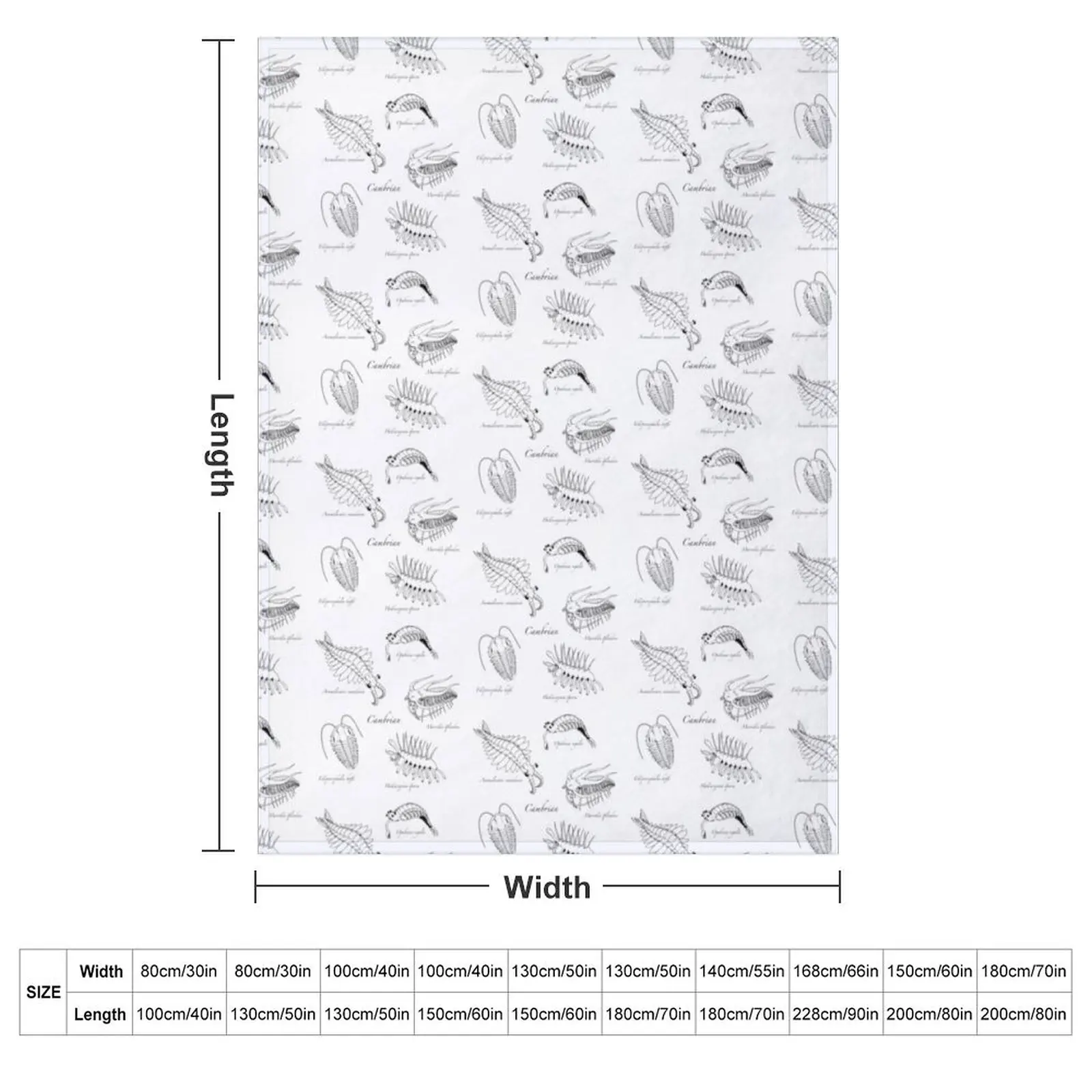 Cambrian Life (Hand Writing Style Font) Throw Blanket couch cozy soft plush fuzzy picnic outdoor blanket