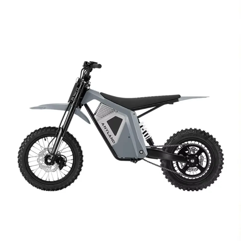 Wish01S Electric Dirt Bike Electric Motorcycle Off Road E Motocross Youth Teen Lightweight Enduro Bike Adult 12/14 Inch CE OEM