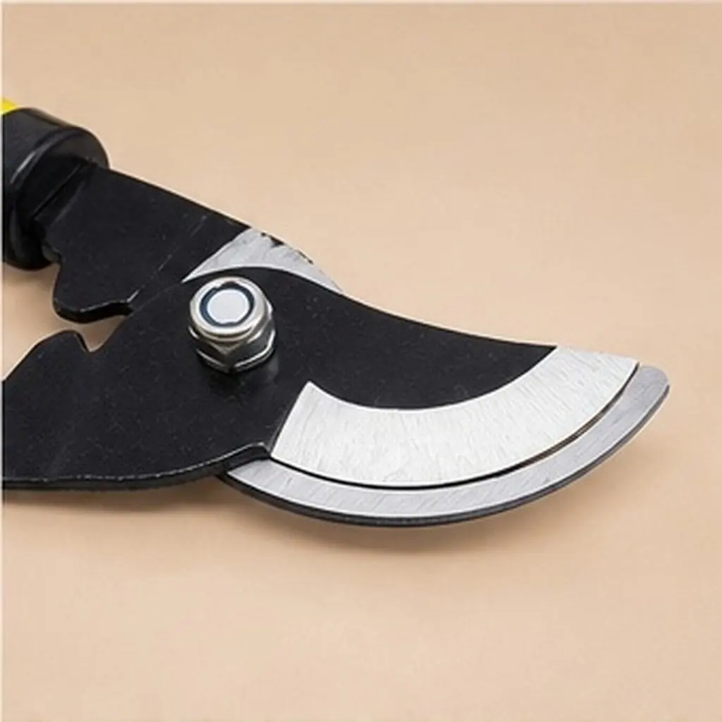 Premium Stainless Steel Pruning Shears for Gardeners – Sharp Grafting Scissors for Branch Trimming & Cutting