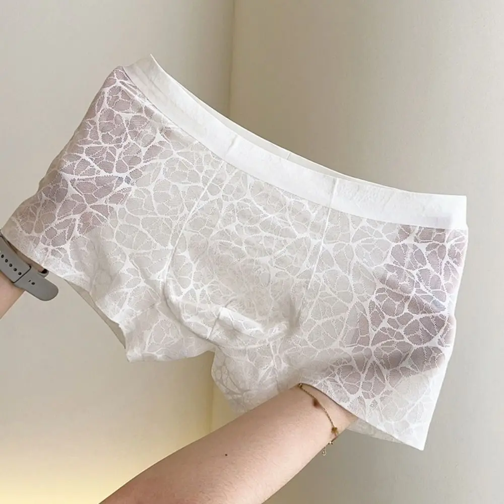 Creative Underpants Men Boxer Briefs Mesh Thin Quick Dry Lace Shorts Boxers Breathable Ice Silk Underwear for Men Daily