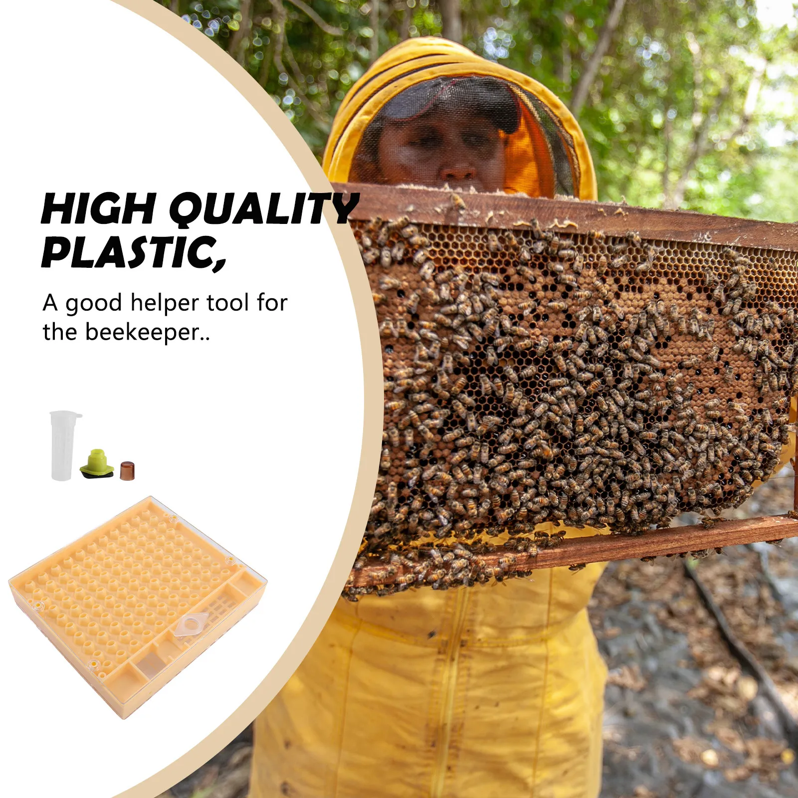 Professional Queen Rearing Kit for Beekeepers Lightweight Plastic Design Reliable Results Beekeeping Accessories