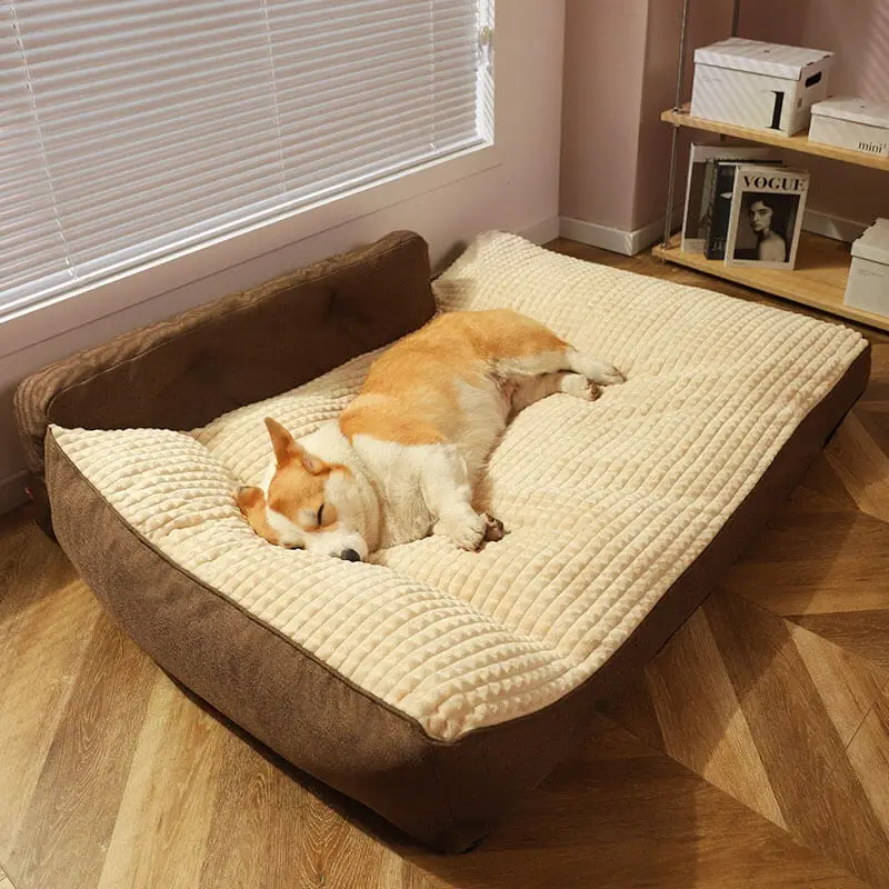

Custom All Season Pet Dog Sofa Bed Durable Orthopedic Memory Foam Boucle Dog Bed With Removable Washable Cover Pet Supplies