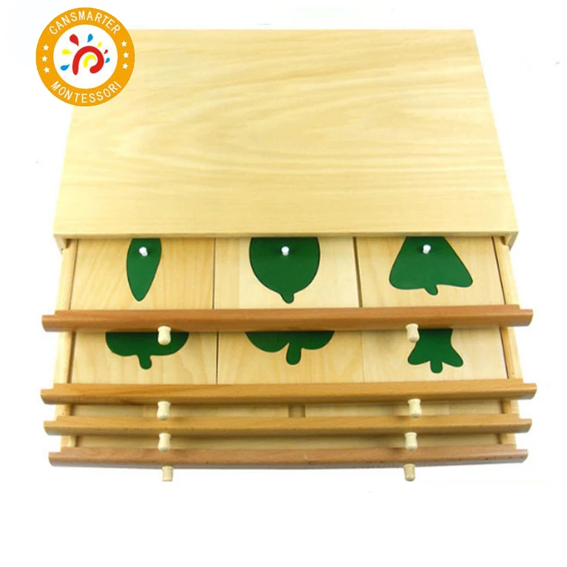 

Botany Leaf Cabinet Puzzles Wooden Box Biological Teaching Toy Educational Early Preschool Material Toy