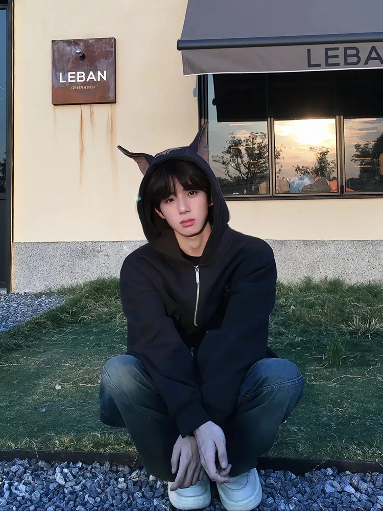 

Мужская толстовка American Sle Heavyweight Doberman, осенне-зимняя черная куртка с капюшоном, повседневная свободная молодежная толстовка в трендовом стиле