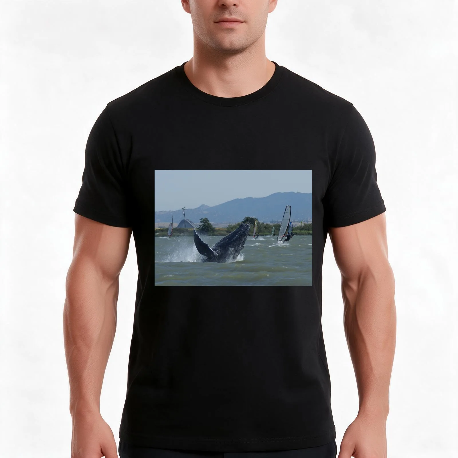 Humpback Whale Breaching by Windsurfers T-Shirt Summer Casual Cotton Tee Oversized Streetwear Tops Vintage Graphic Print