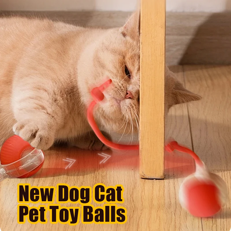 

Rechargeable Smart Pet Electric Cat And Dog Ball Toys New Automatic Rolling Dog Ball Faux Tail Rechargeable Pet Toy