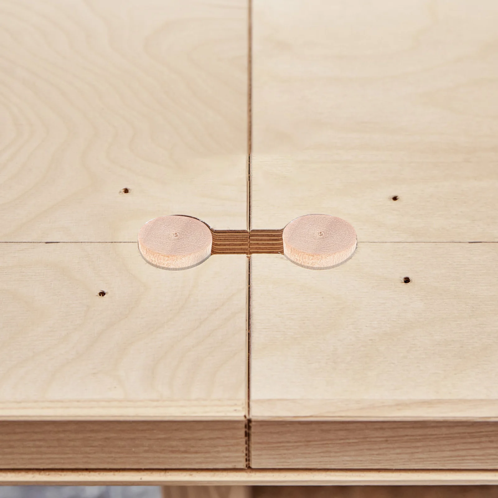 

200Pcs Wood Screw Plugs Rich Quantity Share Friends Durable Colorfast Furniture Accessories Wood Plugs