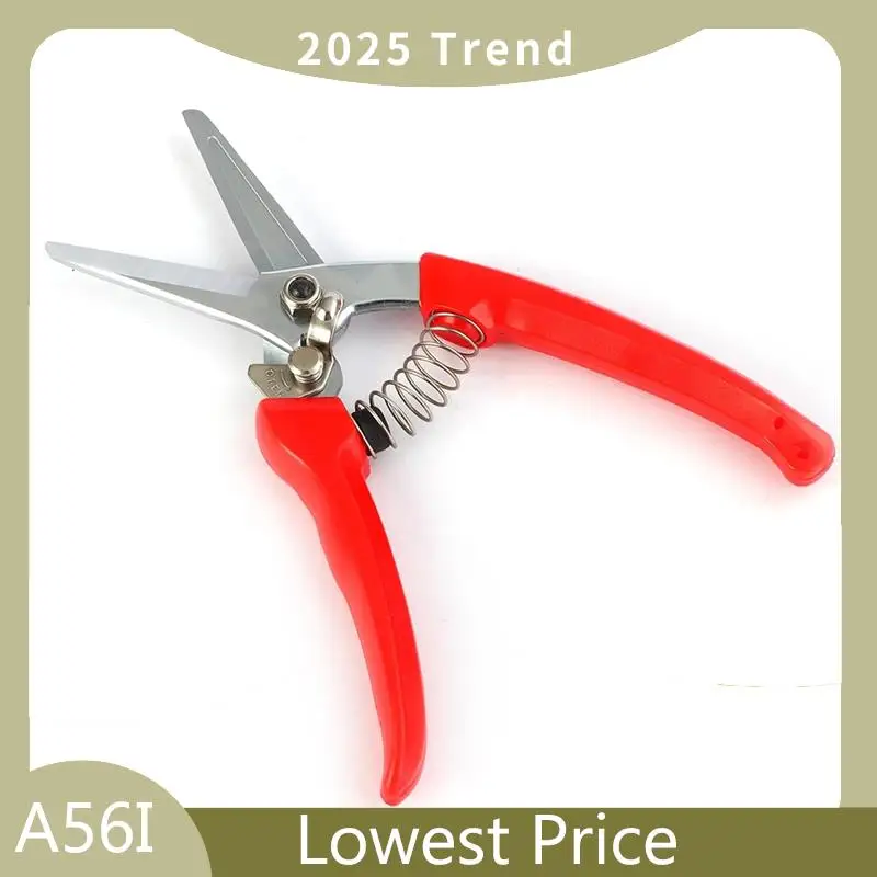 

Horse Hoof Trimmer With Mini Hoof File (8 Inches)-Pig Nail Clippers - Horse Hoof Trimmer-Goat Pliers-Goat Hoof Trimmer Durable