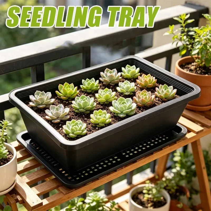 1/5Pcs Seed Sprouter Tray Plastic Hydroponic Microgreens Germination Nursery Trays for Wheatgrass Plant Garden Grow Container