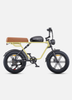ENGWE M1 Electric Bike