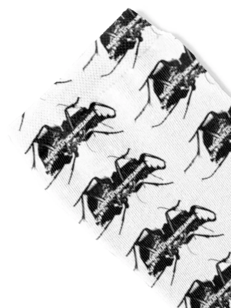 Massive Attack Mezzanine Beetle Socks kids loose Men Socks Women's