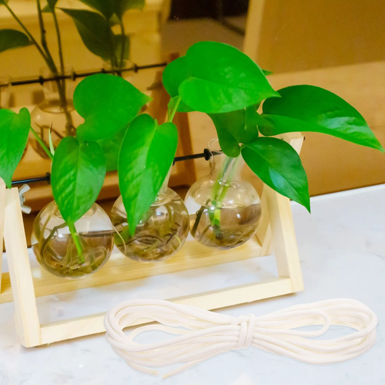 

20 Meters 6Mm Absorbent For Potted Plants Automatic Watering Cotton Rope Hydroponic Planting Supplies Gardening Irrigation Kit