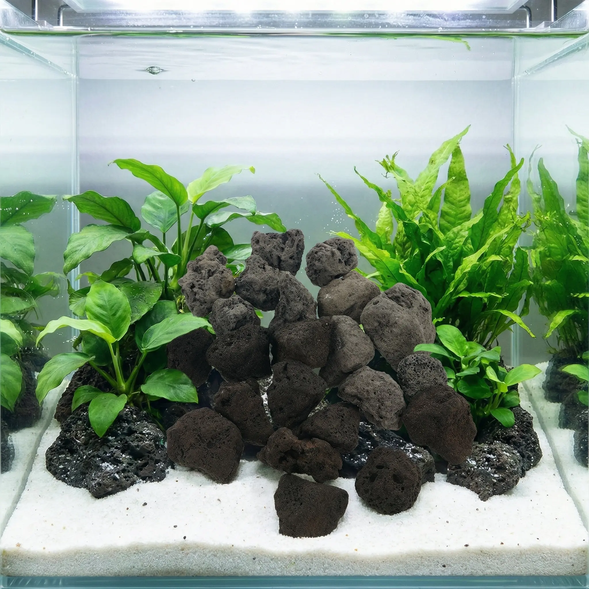 200G Natural Volcanic Rock Lava Stone Unique Texture Scientific Aquarium Decor DIY Crafts Feng Shui Garden Landscaping