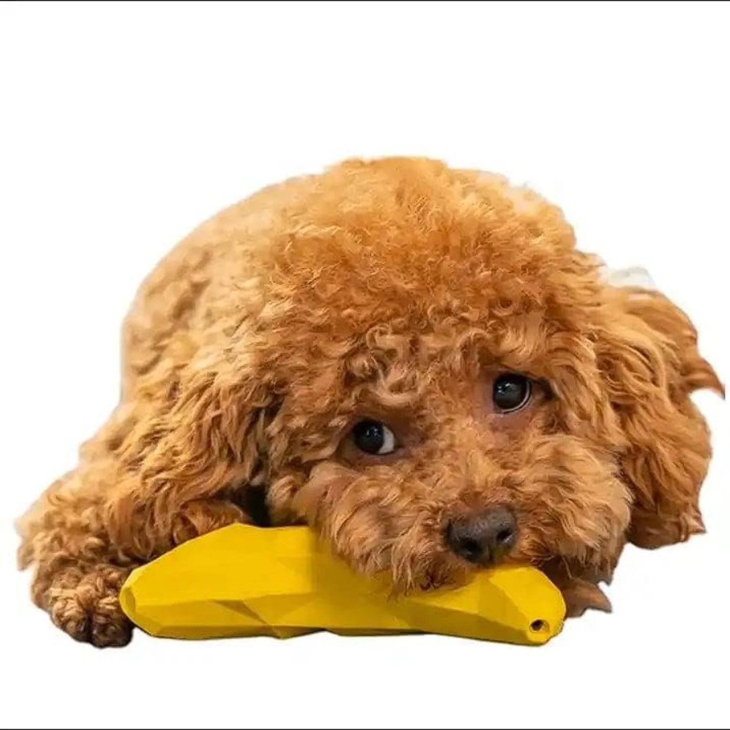 Interactive Enhanced Small Banana Shape Squeaky Dog Toy - Ideal Natural Rubber Chew Treat Dispenser for Small Breeds, Customized