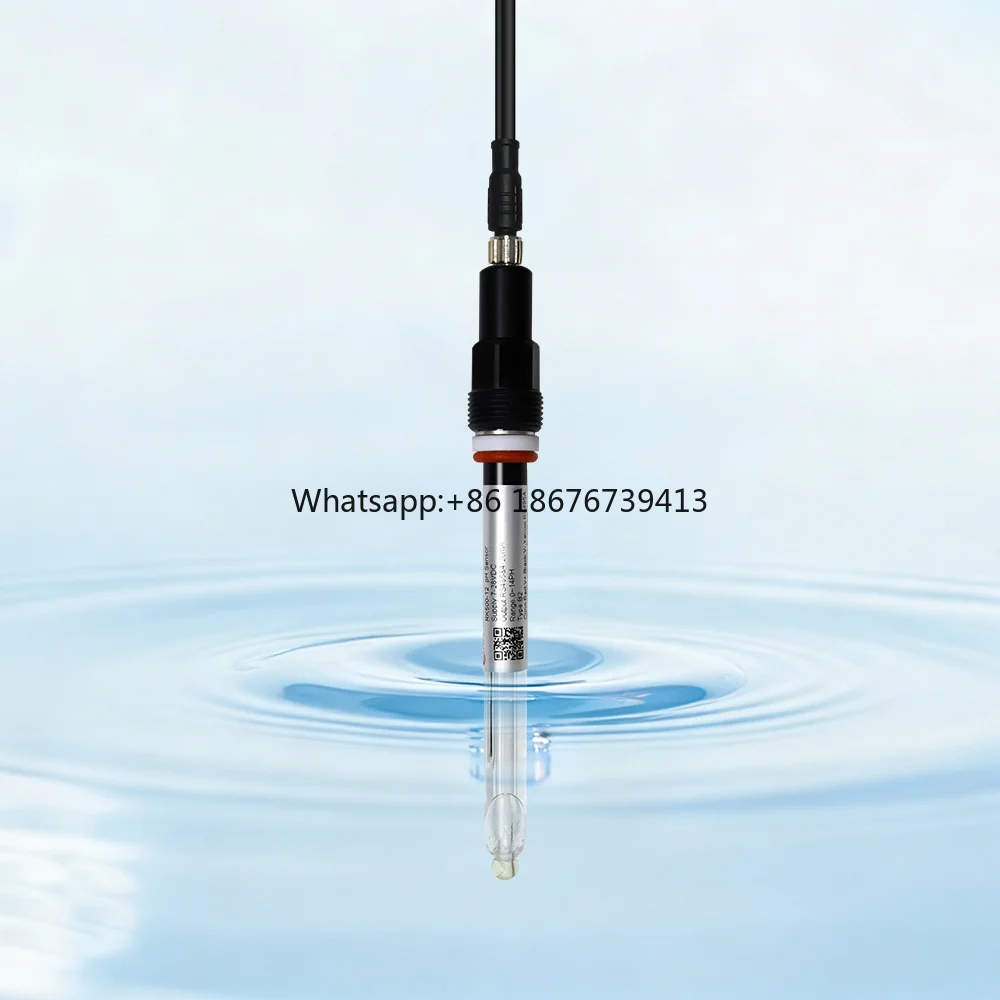 500-12 B2 Portable PH Meter Electrode Probe Sensor RS485 4-20mA Output IP68 Waterproof 0.01pH Accuracy PG13.5 Thread 10s