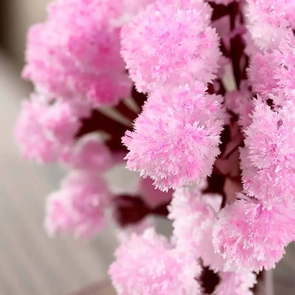 Arbres Décoratifs en Clip de Sakura, Jouets Scientifiques Magiques en Papier Japonais, Sans Fleur, pour le Bureau, à Faire Soi-Même