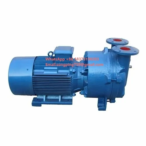 

Lead the Industry China Wholesale Vacuum Pump Price