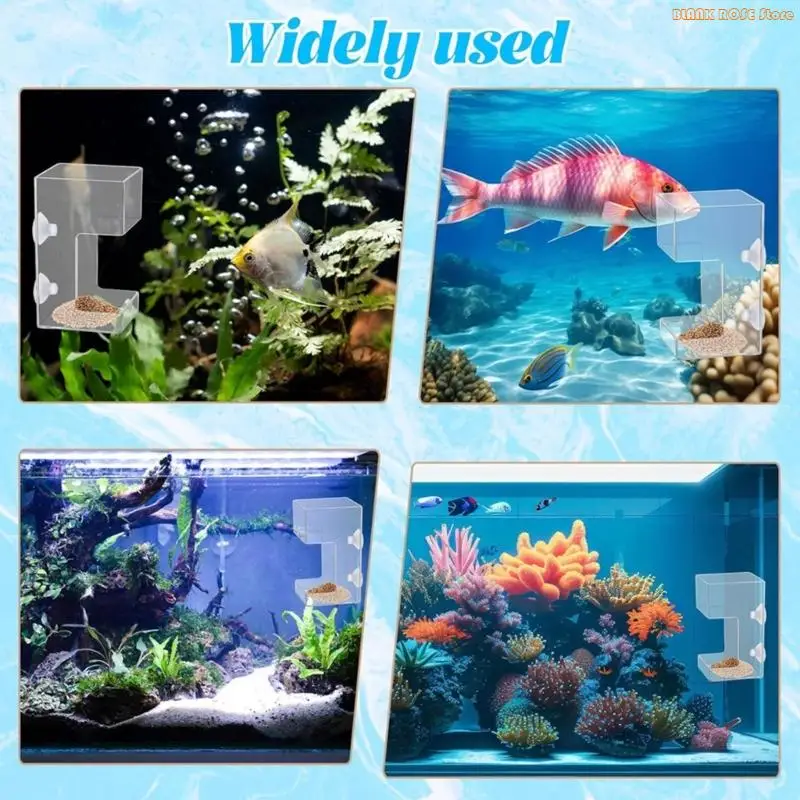 K1AE Simple Setups Aquariums Feeders Circle Transparents Aquariums Suspensible Feeders For Tanks Dispenser