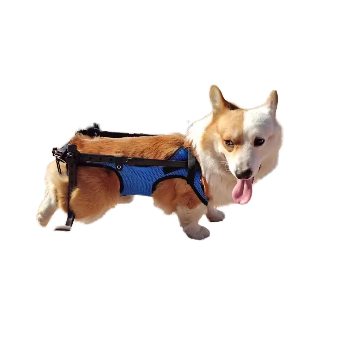 

Top Seller Pet Healthcare Product Dog Leg Support Wheelchair for Disabled Hind Legs for Pet Training Supplies