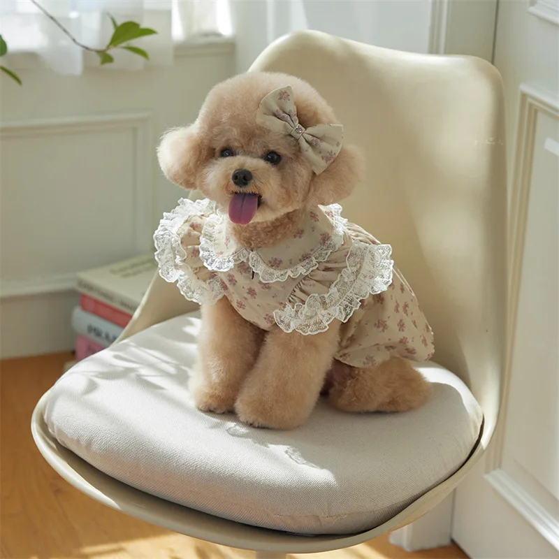 Thumbnail 4 - #22 Latest Puppy Collars Updates