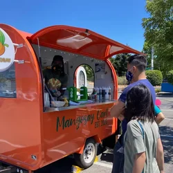 Chariot mobile de vente de nourriture de rue, camion de crème glacée, remorque de nourriture de café, support de pizza et de gâteau entièrement équipé, kiosque pour les Etats-Unis