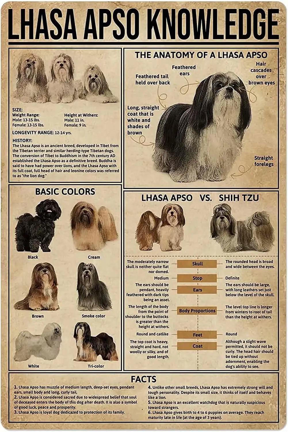 Letrero metálico de Lhasa Apso: La anatomía del perro Lhasa Apso, póster retro impreso para escuela, tienda de mascotas, cafetería, bar, dormitorio