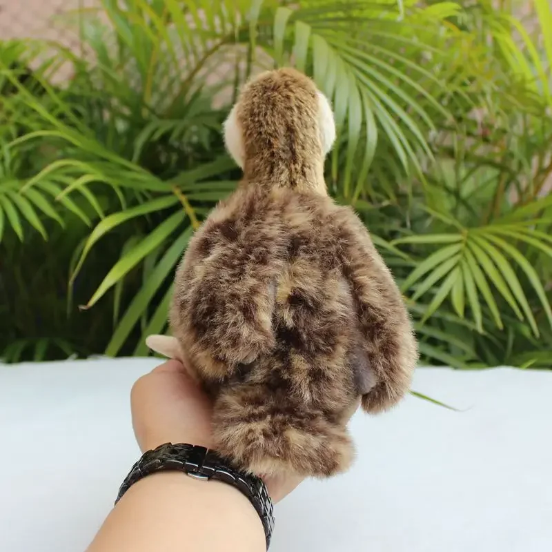 สมจริง Corncrake Plush ของเล่น High Fidelity Crake Bird Plushie รางน้ํา Peluche เหมือนจริงตุ๊กตาสัตว์จําลองตุ๊กตาของเล่น