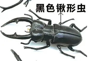 Realistisch insectenmodel: Langhoornbij, wetenschappelijke kever, actiefiguren, Dynastes, wild insect, levensechte insectfiguren