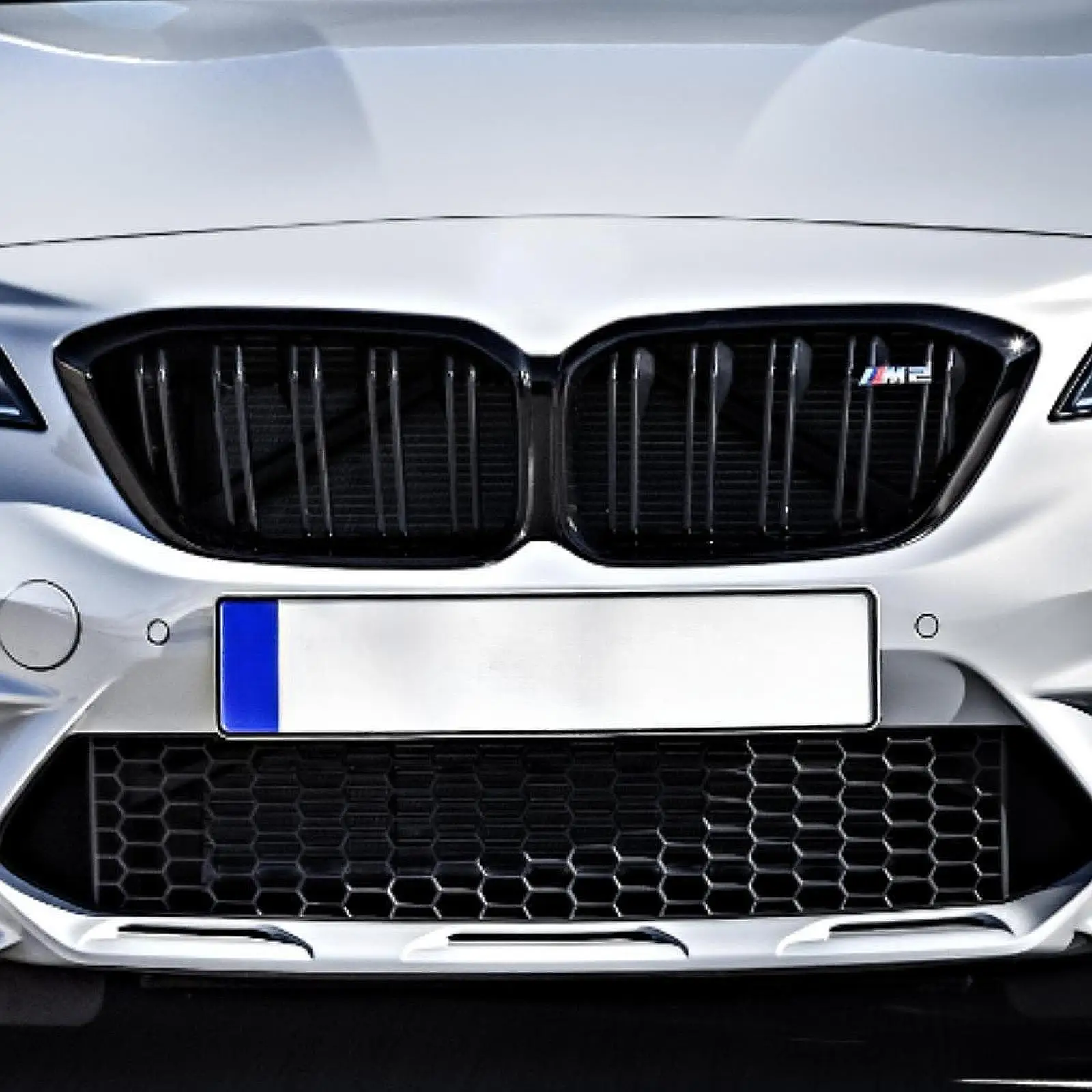 

Wear Resistant Front Kidney Grille Upgrade for BMW M2 Competition F87 2019 2021 Exterior Parts