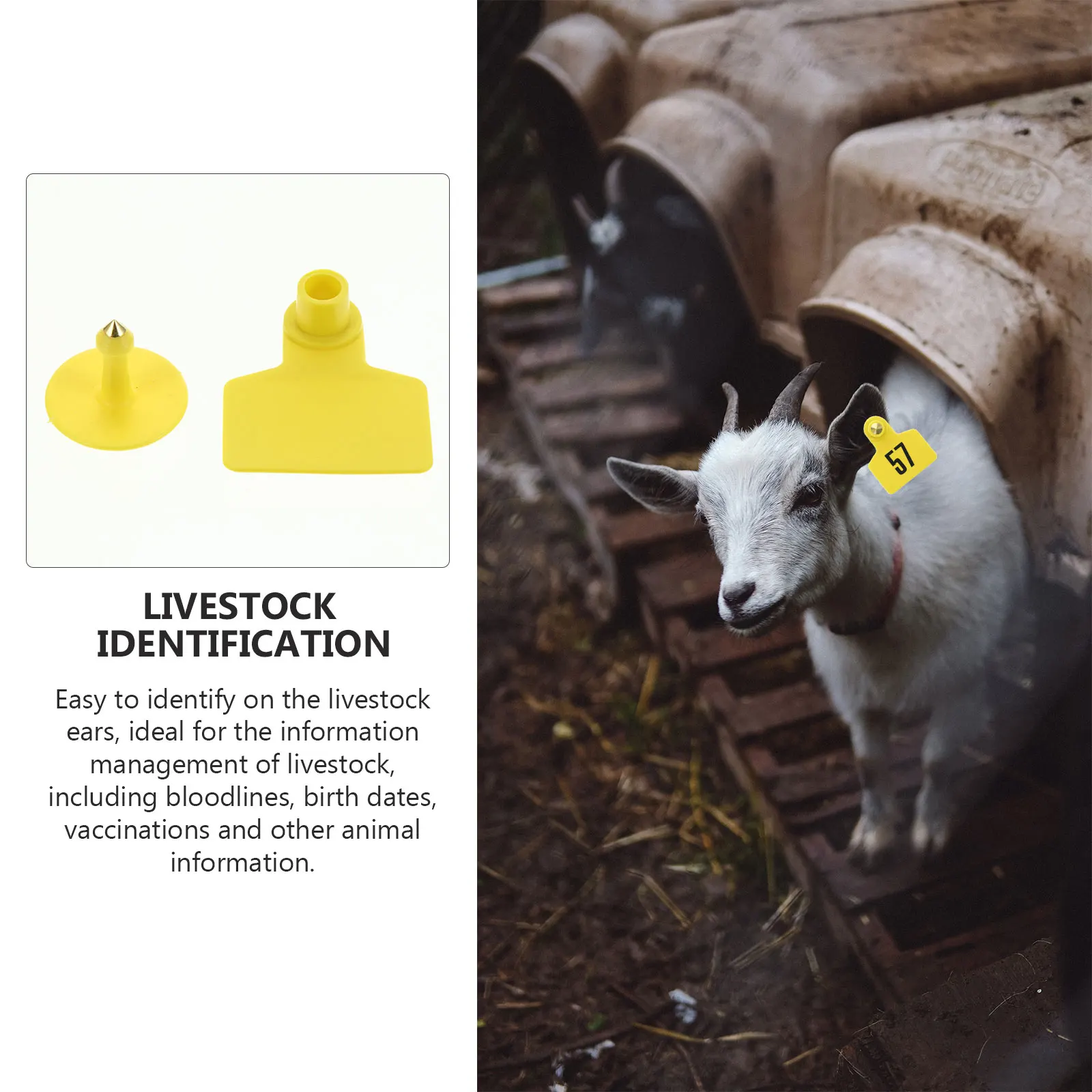 

100pcs Blank Livestock Ear Plastic Livestock Animal Animal Ear Tags Identification Farm Goat Tags TPU Durable