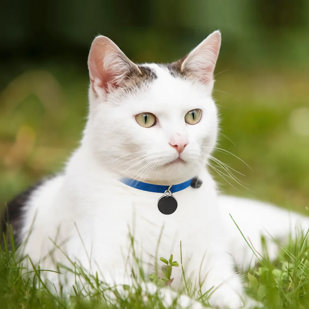 Smart GPS Locator For Pets Anti Lost Bluetooth Tracker Device Positioning Tag For Dogs Cats Waterproof Collar Accessory