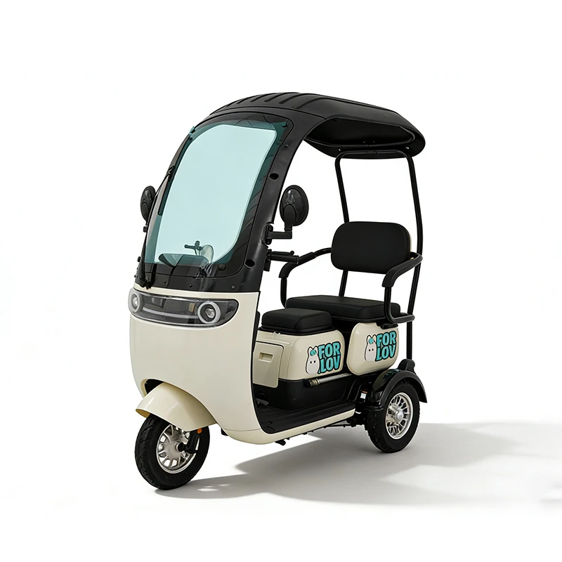 Adult Electric Tricycle with Roof 3 Wheel E-Bike Factory Direct Sale High Quality