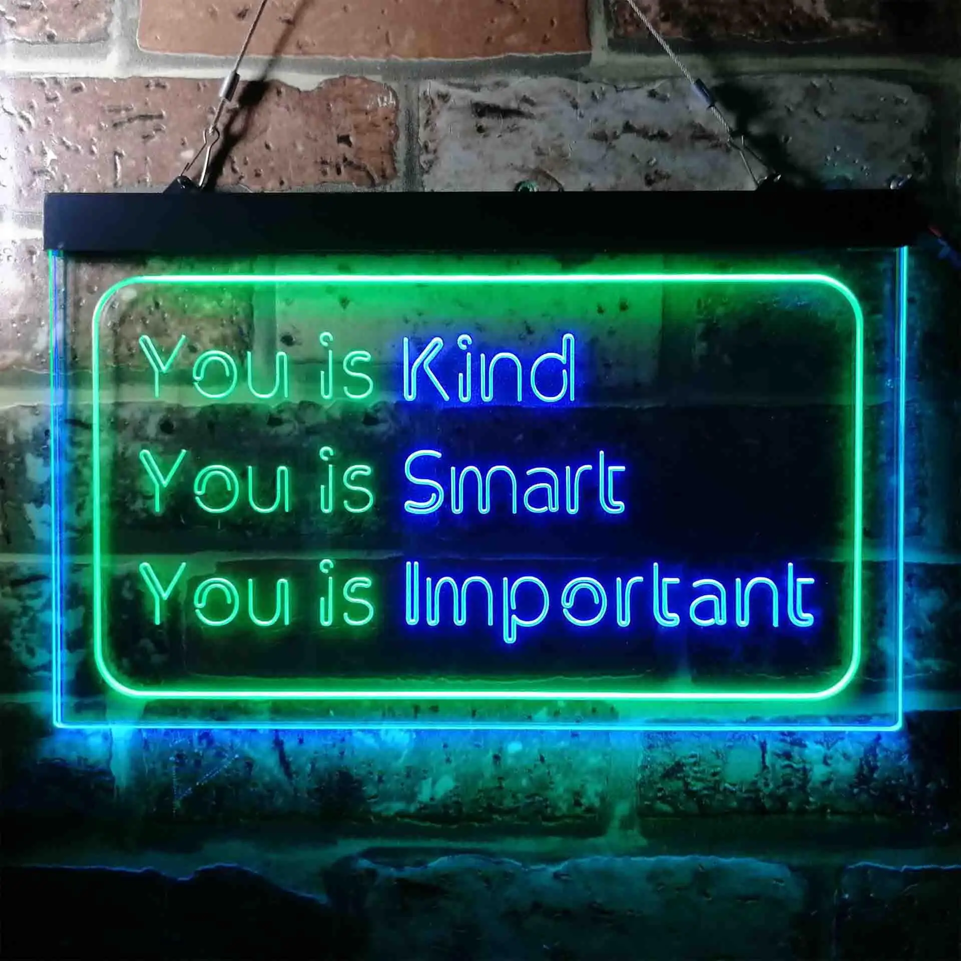 You is Kind. You is Smart. You is Important. Dual Color Led Neon Sign st6-i3691