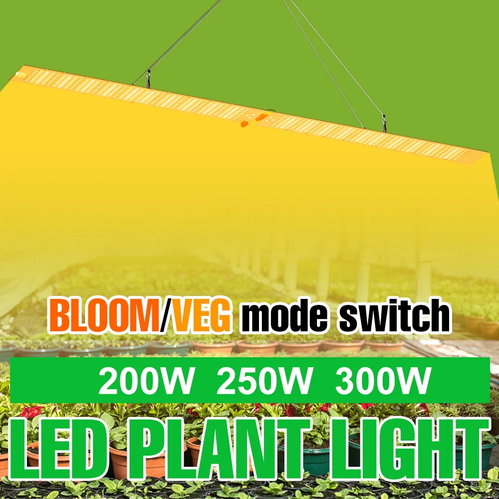 300w-led量子ボード式植物育成ライト、全スペクトル植物用ランプ、屋内栽培用、花や野菜の栽培、温室や栽培用テントでの使用に最適、補助照明。