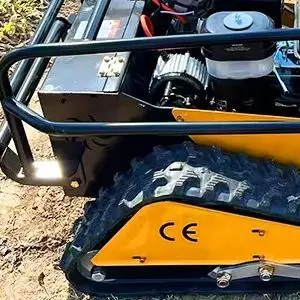 Customized Flail Re… - image