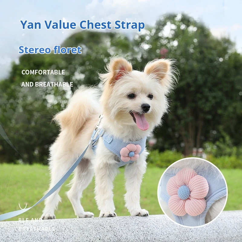 

Pet vest traction rope dog cartoon three-dimensional teddy walking dog rope cat anti loosening chest strap when going out