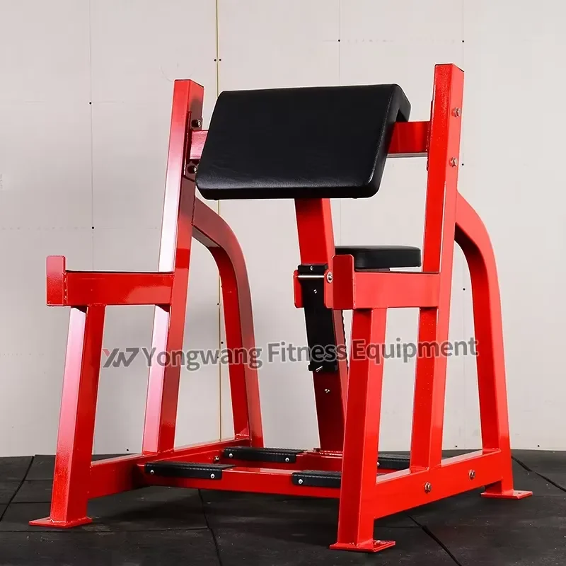 Factory Direct Sale YW-1607 Commercial Workout Machine Seated Arm Curl for Sale